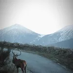 Les Temples Du Soleil Font-Romeu-Odeillo-Via